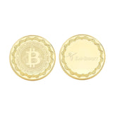 20Pcs Brass Metal Blank Coin