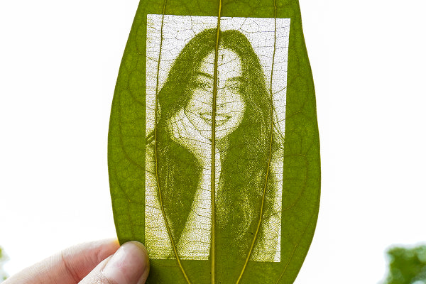 Leaves for Laser Engraving (10pcs)